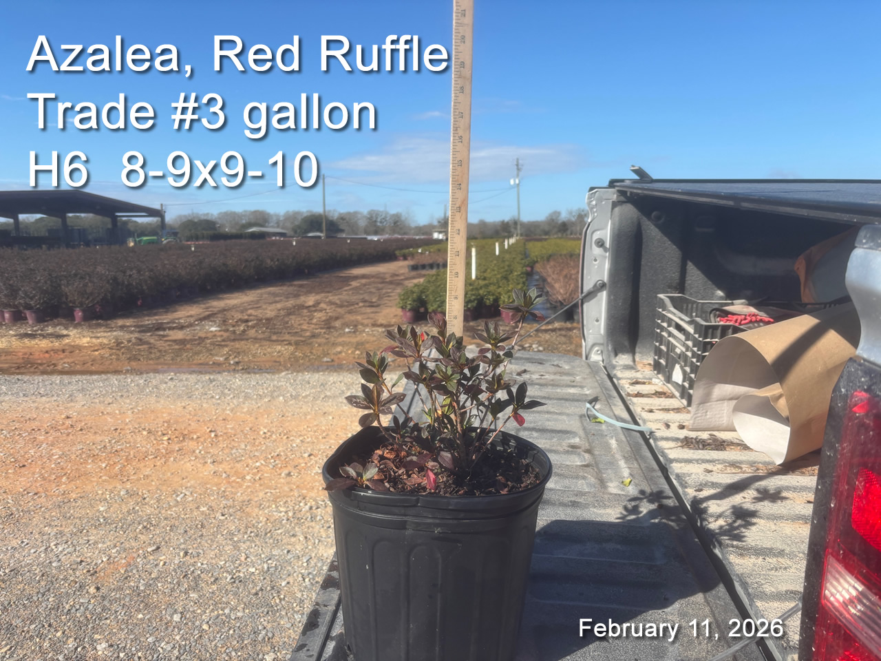 gallery/rr3t h6 feb11.jpg